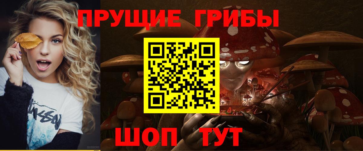 Псилоцибиновые грибы Psilocybe Бузулук